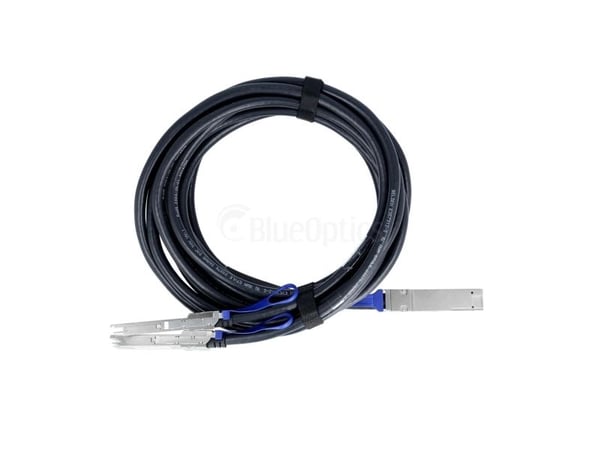 BlueOptics FN-CABLE-QSFPDD-2QSFP56-L2-BL, 2 m, DAC, QSFP-DD, 2x QSFP56