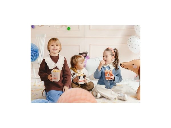 PartyDeco POP15, Flerfarget, Papir, 87 mm, 143 mm, 87 mm, 6 stykker