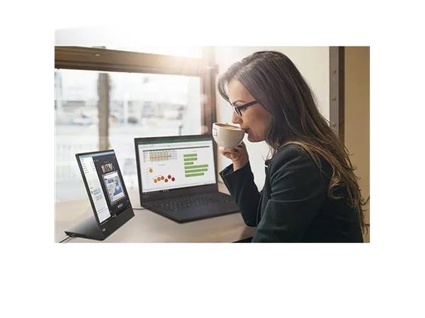 Lenovo ThinkVision M15 - LED-skjerm - 15.6" - portabel - 1920 x 1080 Full HD (1080p) @ 60 Hz - IPS - 250 cd/m² - 1000:1 - 6 ms - 2xUSB-C - ravnsort