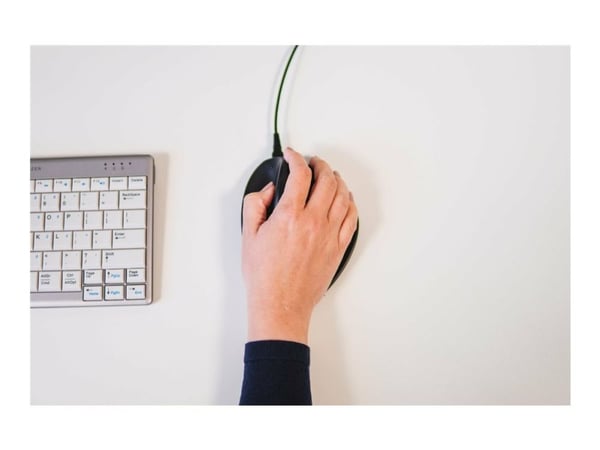 Bakker Elkhuizen Hippus small - Mus - høyrehendt - 2 knapper - kablet - USB - svart