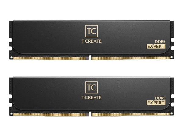 T-CREATE EXPERT - DDR5 - sats - 32 GB: 2 x 16 GB - DIMM 288-pin - 3200 MHz / PC5-51200 - CL32 - 1.35 V - ej buffrad - on-die ECC - svart