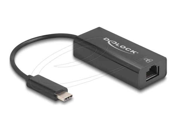Delock - Nettverksadapter - USB-C - 10/100 Ethernet x 1 - svart