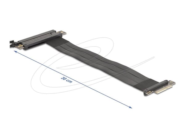 DeLOCK 81498, PCIe, PCIe, Mies, musta, 0,3 m, 1 kpl