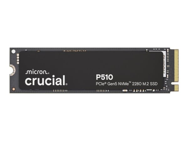 Avgjørende? P510 1TB PCIe Gen5 NVMe 2280 M.2 SSD NVMe M.2