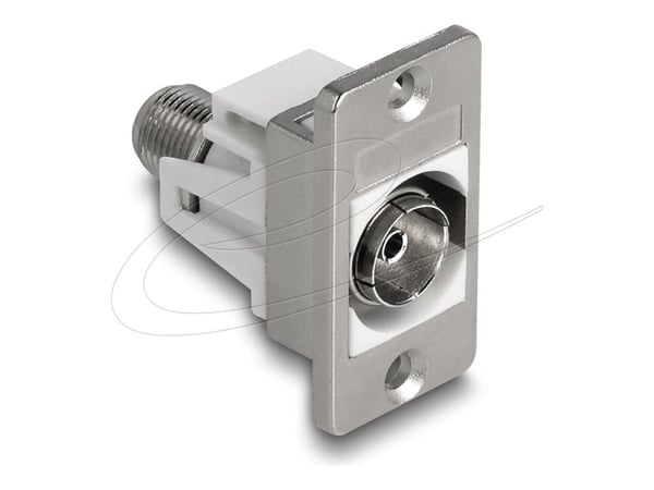 Delock Panel Mount IEC-pistorasia F-pistorasiaan hopea / valkoinen