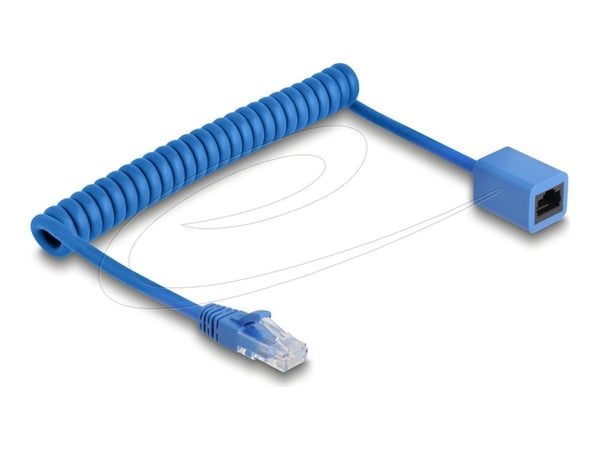 DeLOCK 90365, 1,2 m, Cat6, U/UTP (UTP), RJ-45, RJ-45, sininen