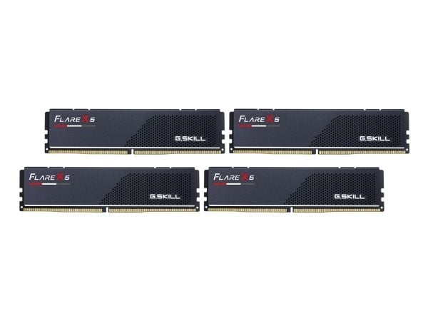 G.Skill Flare X5 F5-6000J3444F64GX4-FX5, 256 GB, 4 x 64 GB, DDR5, 288-pinners DIMM-modul