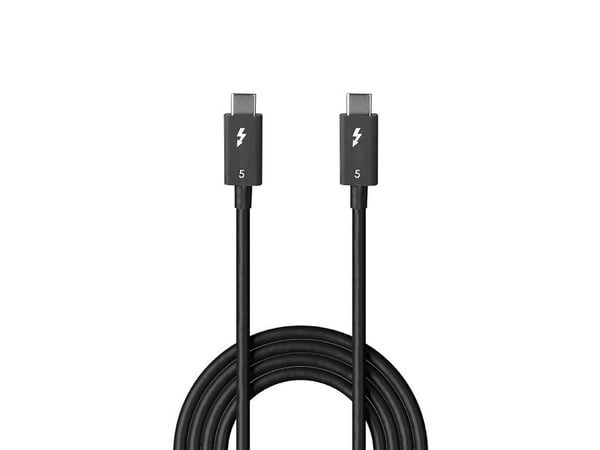 Lindy 31130, Hankjønn, Hankjønn, 1 m, 80 Gbit/s, Svart, Nickel