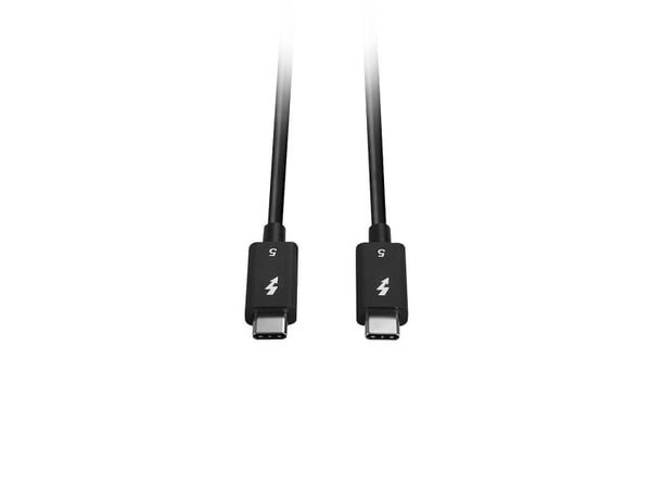 Lindy 31130, Hankjønn, Hankjønn, 1 m, 80 Gbit/s, Svart, Nickel