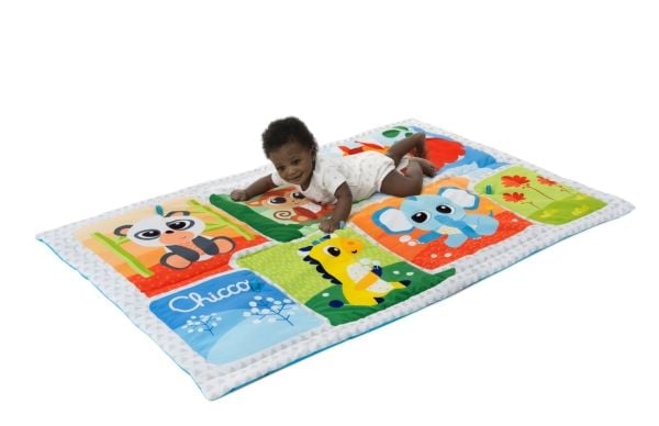 Chicco 11352000000, Multifärg