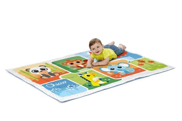 Chicco 11352000000, Multifärg