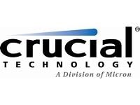Crucial - DDR5 - modul - 32 GB - SO DIMM 262-pin - 3200 MHz / PC5-51200 - CL52 - 1.1 V - klokket - on-die ECC - svart