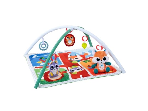 Chicco 300-00011354000000, Flerfarget
