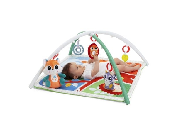 Chicco 300-00011354000000, Multifärg