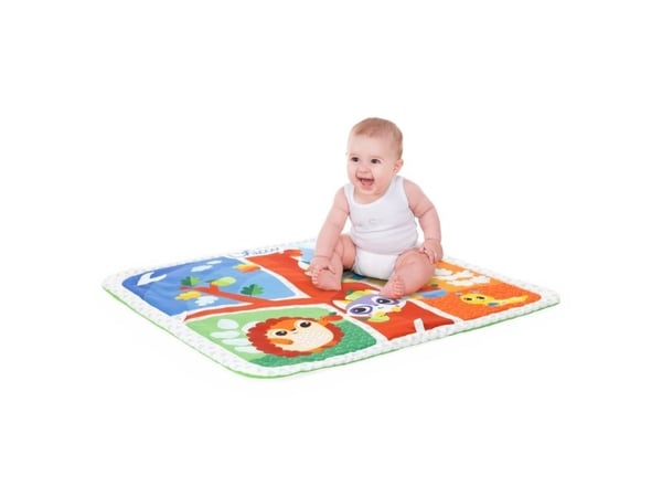 Chicco 300-00011354000000, Multifärg