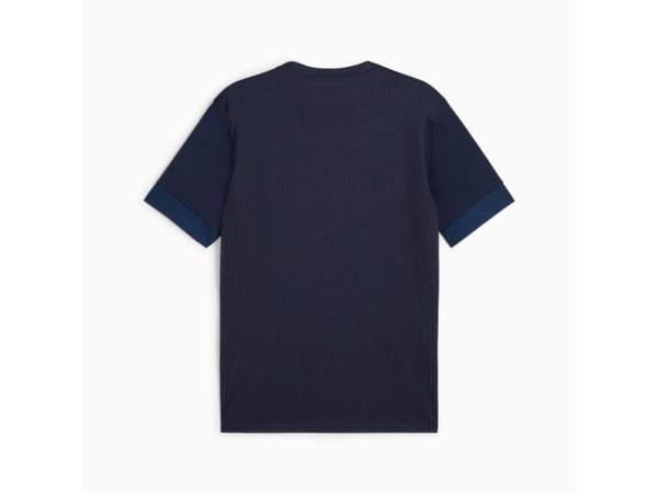 PUMA teamGOAL, Voksen, Hankjønn, Blå, Monokromatisk, Fotball, M