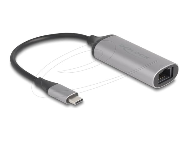 Delock - Nettverksadapter - USB-C - 10M/100M/1G/2.5G/5 Gigabit Ethernet x 1 - antrasitt