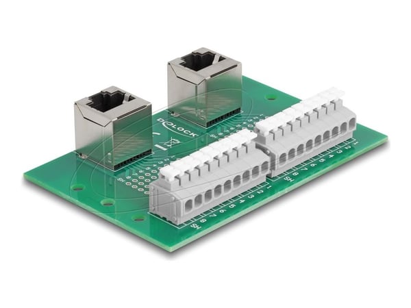 Delock - Nettverksadapter - RJ-45 (hunn) vinklet til 9-pins terminalblokk - DIN-rail mountable, trykknapp, 3,81 mm stigning, stifttilordning: 1:1