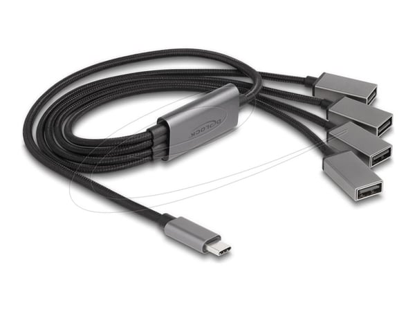 Delock - Hubb - 4 x USB 2.0 - skrivbordsmodell