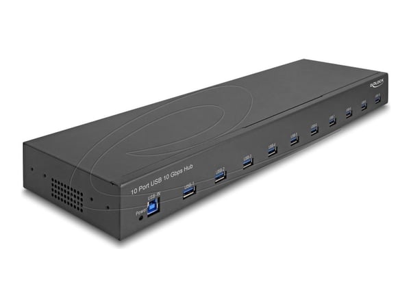 Delock 19? industriell hubb 10 x USB 10 Gbps Typ-A