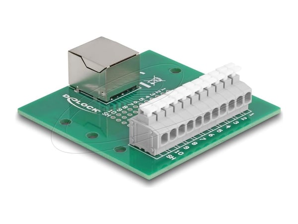 Delock - Nettverksadapter - RJ-50 (hunn) til 11-pinners terminalblokk - DIN-rail mountable, trykknapp, 3,81 mm stigning, stifttilordning: 1:1
