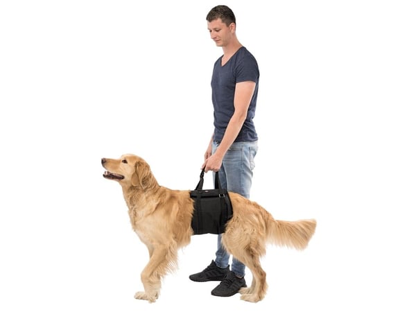 TRIXIE 19402, hund, L, svart, polyester, monokromatisk, 6,5 cm