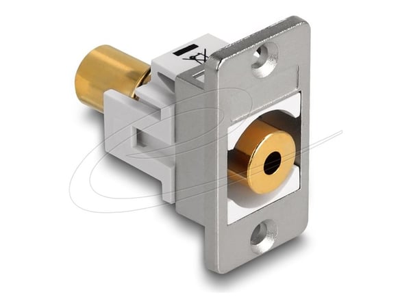 Delock - Modulär insättning - minihörlurskontakt, stereo 3,5 mm - silver, vit