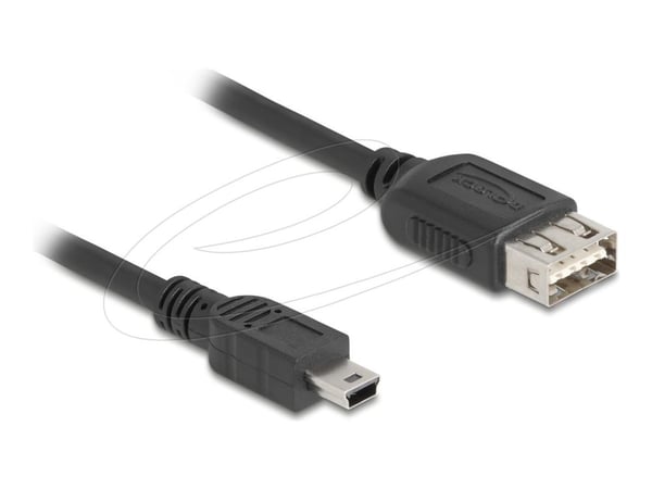 Delock - USB-kabel - mini-USB Type B (hann) til USB (hunn) reversibel - USB 2.0 - 2 m - easy USB - svart