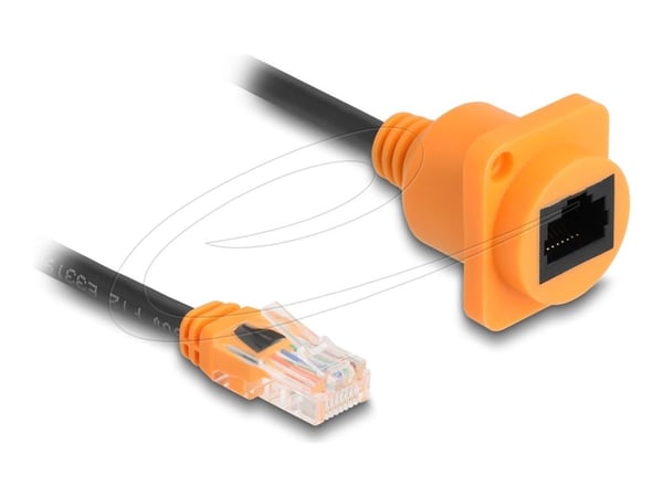 Delock - Nettverksforlengelseskabel - RJ-45 (hann) til RJ-45 (hunn) D-Type - 30 cm - 5.5 mm - UTP - CAT 5e - orange/black