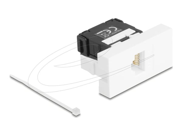 Delock - Easy 45 - trykklåsmodul - LSA 180°, Cat.6A, toolfree - RJ 45 - 1 nettverkssokkel - svart, hvit