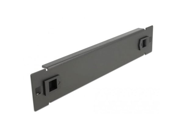 Delock - Blindpanel till rack - svart - 1U - 10"