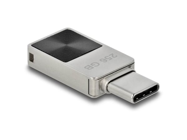 Delock Mini USB 5 Gbps USB-C minnepinne 256 GB - metallhus