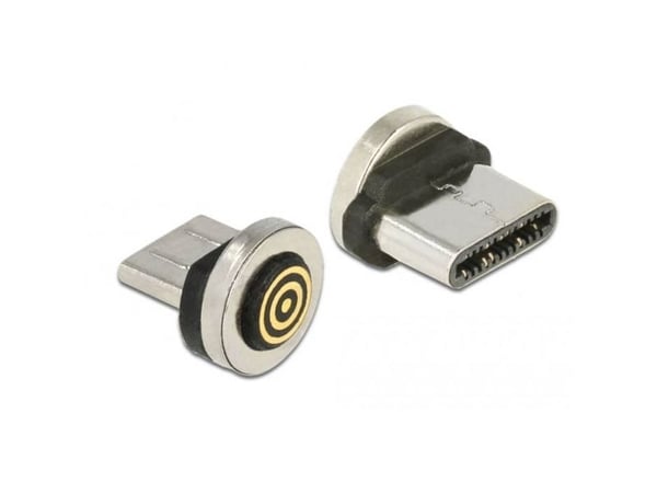 DeLOCK Magnetic - USB-liitin - USB-C (han)