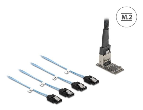 DeLOCK 64260, M.2, Mini-SAS, Mies, musta, Access, Teho, Kiina