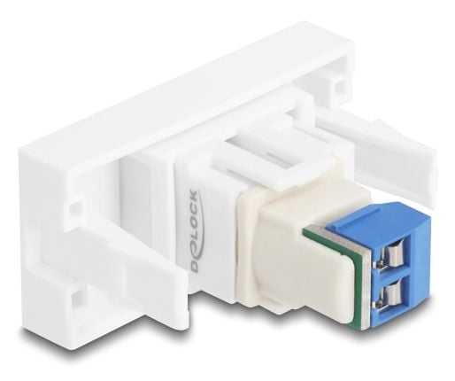 Delock - Easy 45 - snäppbar modul - 2-stifts terminalblock - 1 grupp - vit