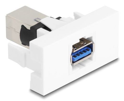 Delock - Easy 45 - snäppbar modul - 5 Gbps - USB - 1 grupp - vit