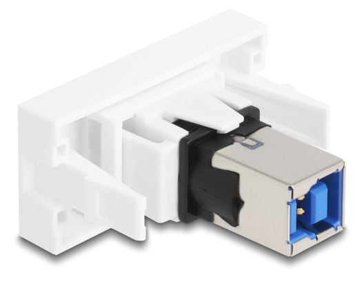 Delock - Easy 45 - snäppbar modul - 5 Gbps - USB - 1 grupp - vit