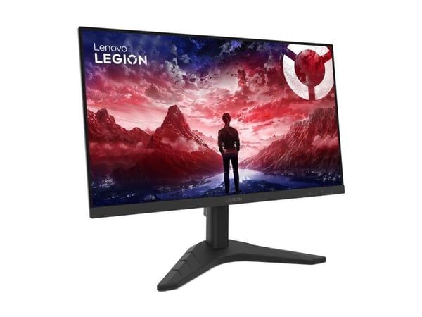 Lenovo Legion R24s LENOVO OPEN
