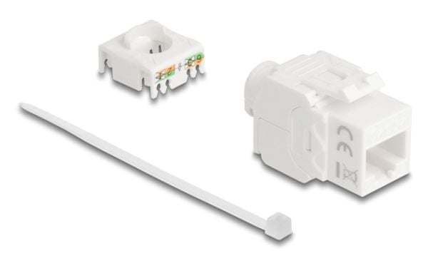 Delock - Modulinnlegg - 180°, toolfree - CAT 6a - UTP - RJ-45, LSA - hvit