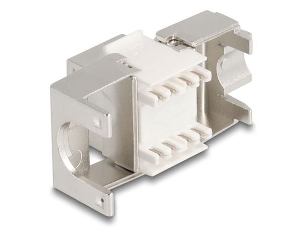 Delock - Keystone module - RJ-45 (hunn) til LSA (hunn) vinklet - CAT 6a - short, slank - sølv, hvit