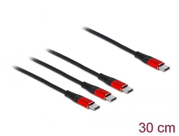 Delock - USB-kabel - USB-C (hann) til USB-C (hann) - USB 2.0 - 5 V - 3 A - 30 cm - svart