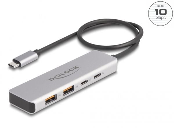 Delock - Hub - 10 Gbps, med 35 cm tilkoblingskabel - 2 x USB 3.1 Gen 2 + 2 x USB-C - stasjonær