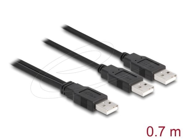 Delock - USB-kabel - USB (hann) til USB (hann) - USB 2.0 - 70 cm - svart