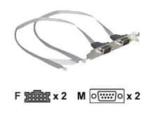 DeLOCK Slot bracket 2 x COM port (2 mm pitch), Hopea, DB-9