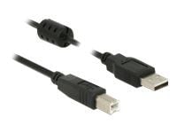 Delock - USB-kabel - USB (hann) til USB-type B (hann) - USB 2.0 - 50 cm - svart