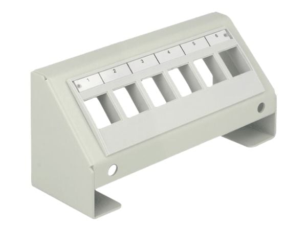 Delock Keystone Multimedia Panel - Overflatemontert fordelingsboks - grå - 6 porter