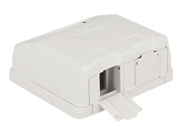 Delock Keystone Surface Mounted Box - Chassi med modulär insättning - vit - 2 portar