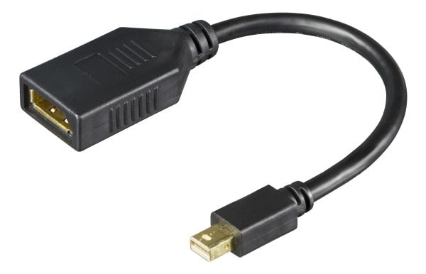 DELTACO - DisplayPort-adapter - Mini DisplayPort (hann) til DisplayPort (hunn) - 20 cm - passiv, opptil 21,6 Gbps datahastighet, støtte for 1920 x ...