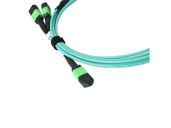 BlueOptics MFP7E00-C003-BO, 3 m, MMF, OM3, MPO, 2x MPO