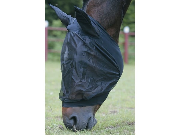 Flughuva svart cob